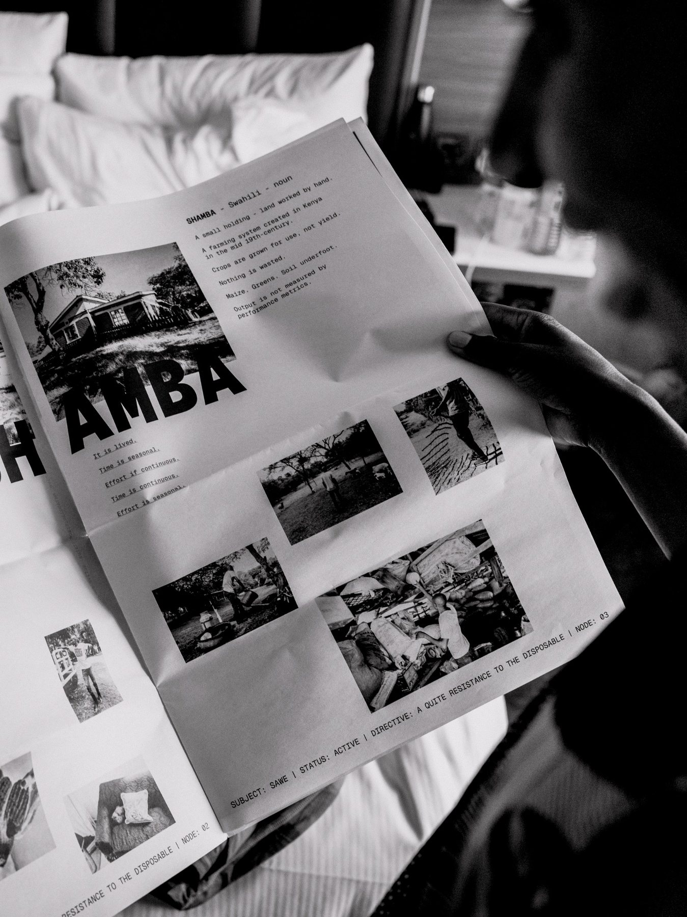 Detail of the shamba definition page inside the newspaper.